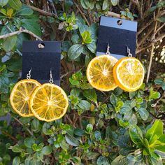 Bright And Fun Handmade Earrings. These Are Dried Tangerines Painted In Resin. They Are Eye Catching And Are Sure To Turn Heads. The Metal Ear Wires And Hooks On The Fruit Are Both Stainless Steel So They Will Not Tarnish And Are Hypoallergenic. Each Pair Will Vary Slightly Due To The Natural Differences In Fruit Slices. Dried Fruit Earrings, Dried Tangerines, Fruit Resin, Fruit Slices, Real Fruit, Fruit Slice, Fruit Earrings, The Fruit, Handmade Earrings