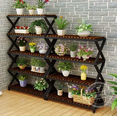 a shelf filled with potted plants on top of a hard wood floor next to a brick wall