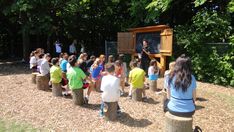 a group of children standing around each other in front of a chalkboard and tree stumps