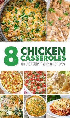 eight chicken casseroles on the table in an hour or less