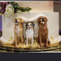 three dogs sitting on top of a wedding cake with white frosting and brown icing