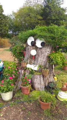 a tree stump with plants growing out of it's face and eyes on top