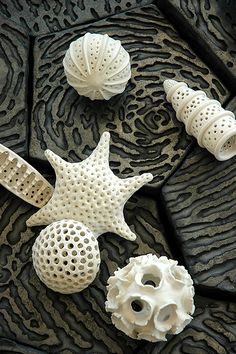 sea shells and starfish are on the sand in front of an intricately carved design