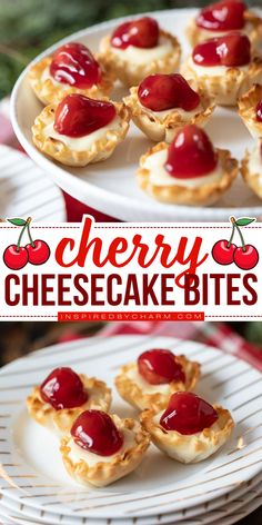 Looking for a dessert that’s easy to make but feels fancy? These Cherry Cheesecake Bites are it! With a creamy cheesecake filling, a crispy phyllo shell, and a sweet cherry topping, each bite offers a perfect mix of textures and flavors. They’re simple to assemble, and they make an impressive treat for any occasion or celebration. Cherry Cheesecake Bites, Quick Cheesecake, Cheesecake Bites Recipe, Cherry Topping, Sweet Buffet, Christmas Meals, Dream Bars, Fruit Cobbler, Easy Holiday Recipes