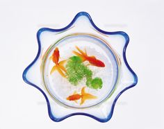 three goldfish in a bowl with water and green algae on the bottom, viewed from above