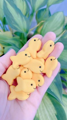 a hand holding a bunch of small yellow bears on it's palm next to green leaves