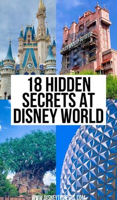 Hidden Disney Secrets, Disney World Secrets, Trip To Disney World, Disney Secrets, Disney World Vacation Planning, Images Disney, Disney Fun Facts, Disney Vacation Planning