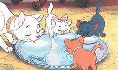 the three cats are playing with each other in front of an empty plate on the ground