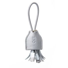 a small silver bag with tassels hanging from it's side on a white background