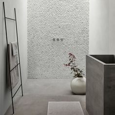 a white bathroom with a plant in the corner