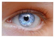 Rare Eye Colors, Dry Eyes Causes, Steel Blue Eyes, Rare Eyes, Laser Eye Surgery, Eye Sight Improvement, Eye Exercises, Vision Eye