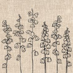 a line drawing of flowers on a linen background