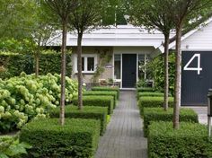 a house with hedges and bushes in front of it, surrounded by green plants on either side