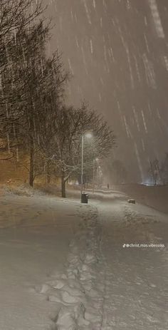 the snow is falling and there are footprints on the ground in front of some trees