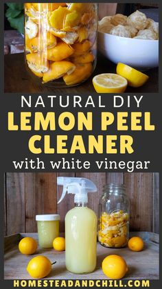 A large glass jar full of lemon peels along with a small glass  spray bottled full of light yellow natural cleaning liquid, and lemons laying around the spraying bottle Vinegar Cleaning Spray, Diy Dish Soap, Lemon Peels, Sustainable Ideas, Lemon Vinegar, Vinegar Cleaner, Natural Cleaning Recipes, Homemade Cleaning, Cleaner Recipes