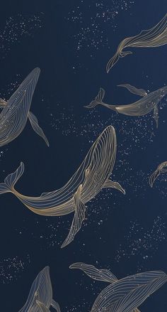 a group of humpbacks swimming in the ocean at night with stars and bubbles