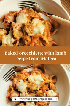 baked orecchini with lamb recipe from materna on the plate and in the bowl