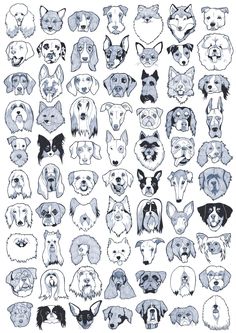 a bunch of dogs that are drawn in different styles and sizes, all on one sheet