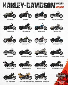 the harley davidson motorcycles are shown in this poster