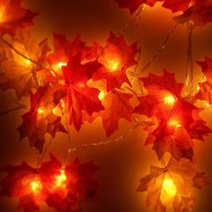 red maple leaf lights are hanging from the ceiling in front of a dark background with orange leaves