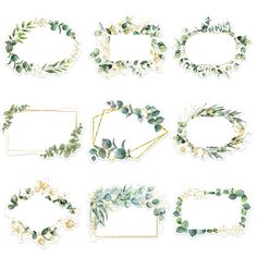 a set of watercolor frames with flowers and greenery on the edges, all in different shapes and sizes