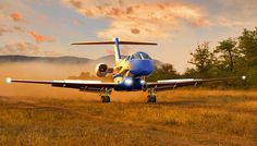 a blue and yellow plane is on the ground in front of some trees at sunset