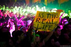 a group of people at a concert holding signs that read is this real life?