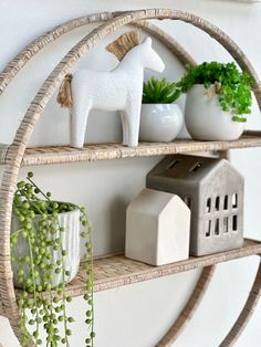 a shelf with some plants and other items on it