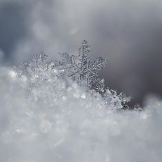 a snowflake is shown in the foreground and on the background