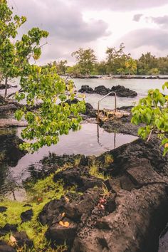 the water is very shallow and there are plants growing on the rocks in front of it