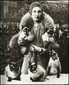 an old black and white photo of a woman with cats