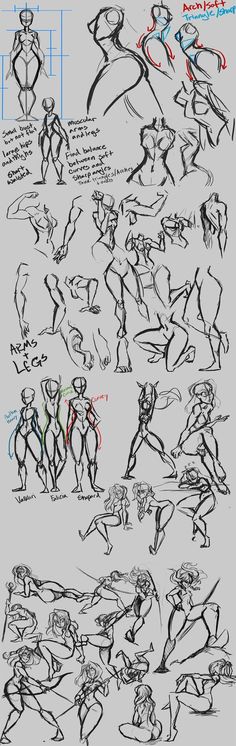 an image of various poses and body shapes for the character model sheet, drawn by hand