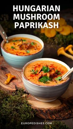 two bowls of hungarian mushroom paprikash