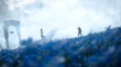 two people standing on top of a hill in the middle of blue and white flowers