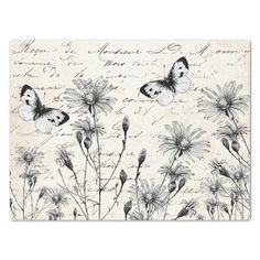 butterflies and flowers on an old fashioned postcard