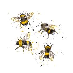 three bums with yellow and black spots on their backs, flying in the air