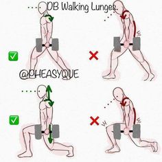 instructions to do exercises for the body