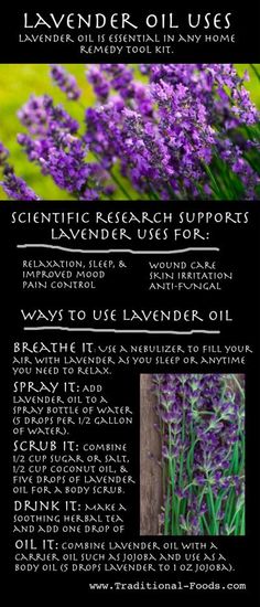 the lavender uses poster with instructions for how to use it in your garden or yard