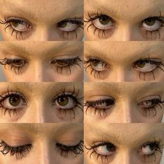 multiple pictures of eyes with long lashes and eyelashes on the upper half of each eye