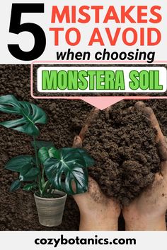 hands holding dirt and plants with text that reads 5 things to avoid when choosing monster soil