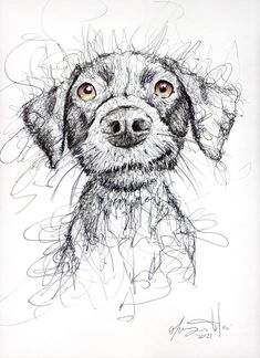 a black and white drawing of a dog's face