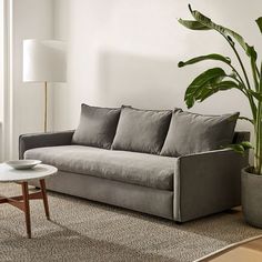 a living room with a couch, table and potted plant on the floor next to it