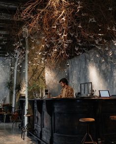 a man sitting at a bar with lots of birds hanging from it's ceiling