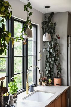 a kitchen with a sink, window and potted plants