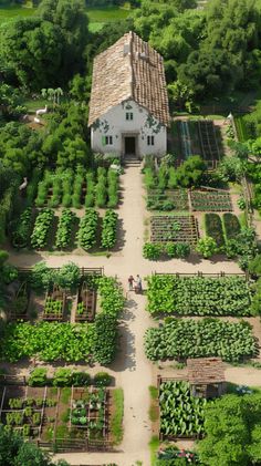 Self Sufficient Backyard: Vegetable Garden In The Woods, Farm In Backyard, Home Farm Garden, Regenerative Farming Backyard, Farm Garden Aesthetic, Farm Garden Ideas Landscaping, Self Sustaining Garden, Self Sufficient Garden, Self Sustaining Farm