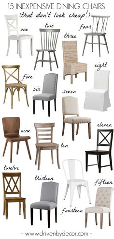 chairs with different styles and colors to choose from