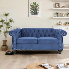 a blue couch sitting on top of a hard wood floor next to a potted plant