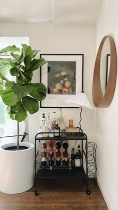 a room with a potted plant and various bottles on the shelf next to it