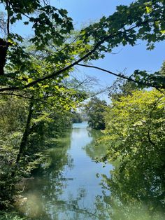 a river running through a forest filled with lots of green trees and water under a blue sky