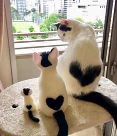 two black and white cats sitting on top of a table next to each other in front of a window